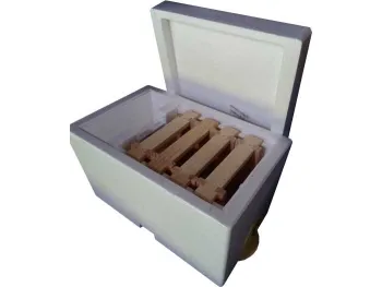 Polyethylene queen fertilization nucleus hive with 4 frames and feeder