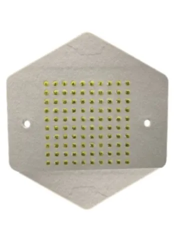 Ópalos numerados para abejas reinas