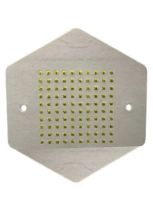 Ópalos numerados para abejas reinas