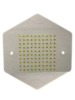 Ópalos numerados para abejas reinas