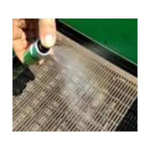 Schwarmlockspray Allure 30 ml – 30 g