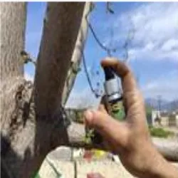 Schwarmlockspray Allure 30 ml – 30 g