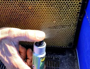 Attract swarms - allure - spray 30 ml