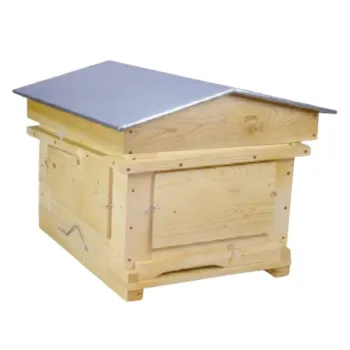 Beehive observation d.b. cube 10 frames with glass - nest only