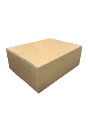 Braune pappschachtel für 12 1 kg gläser honig