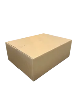 Braune pappschachtel für 12 1 kg gläser honig