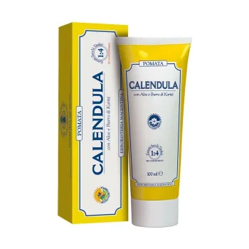 Pomata calendula con aloe e burro di karitè