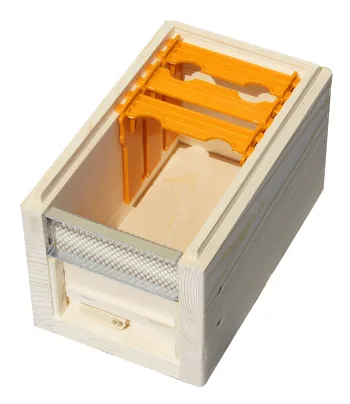 Fécondation de la reine nid en bois de type ruchette avec mangeoire