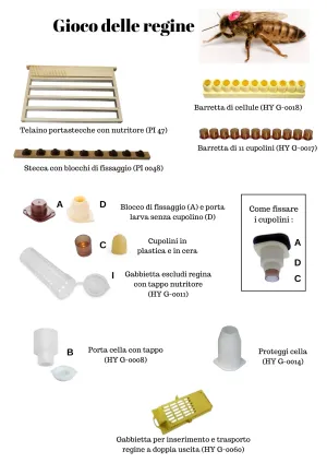 Jeu de la reine - c - dôme en plastique pour l'apiculture