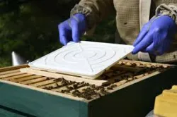 Distributeur d'évaporateur d'acide formique réglable fam avec éponge