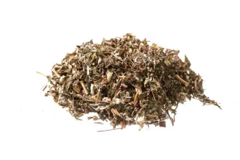 Mugwort (artemisia vulgaris l.)- tops tt