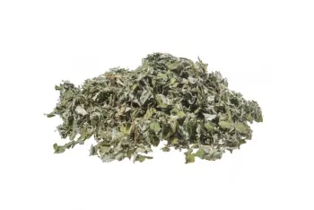 Artichoke (cynara scolymus l.) - leaves 1st quality