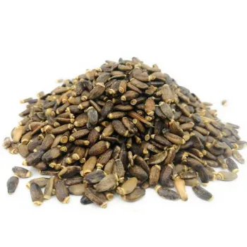 Chardon-Marie (Silybum marianum (L.) Gaertn.) - graines