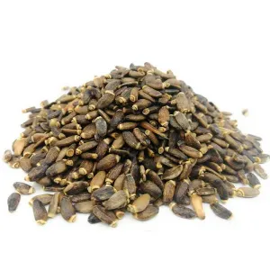 Chardon-Marie (Silybum marianum (L.) Gaertn.) - graines