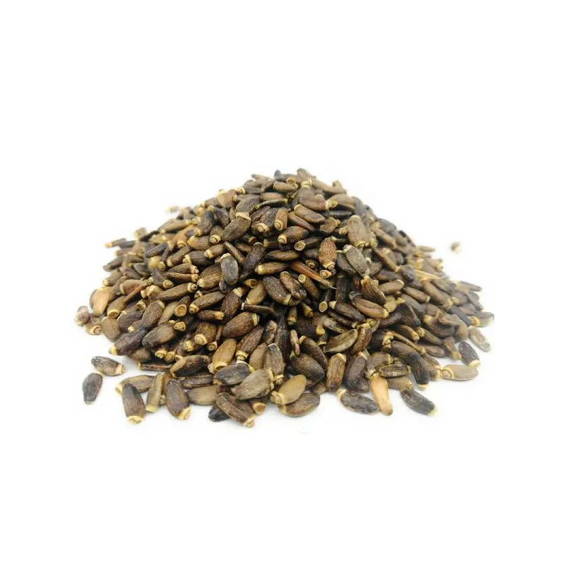 Chardon-Marie (Silybum marianum (L.) Gaertn.) - graines