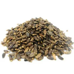 Chardon-Marie (Silybum marianum (L.) Gaertn.) - graines