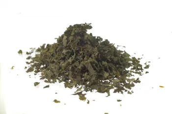 Zitronenmelisse (melissa officinalis l.) - top tt 1st quality