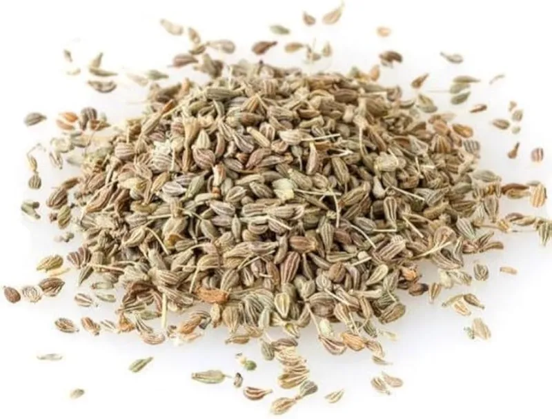 Grüner anis (pimpinella anisum l.) - samen