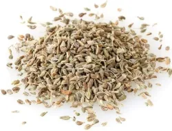 Grüner anis (pimpinella anisum l.) - samen