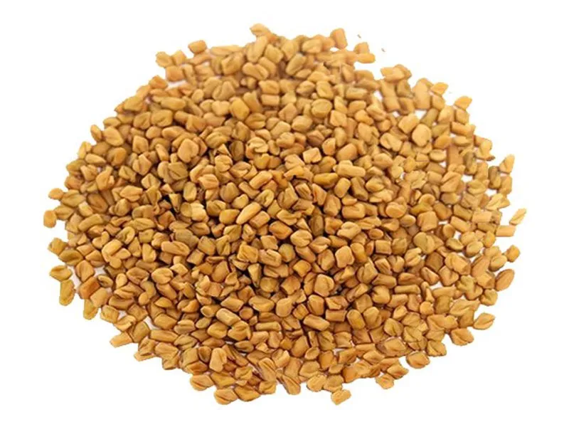 Fenugreek (trigonella foenum-graecum l.) - seeds Fenugreek (trigonella foenum-graecum l.) - seeds