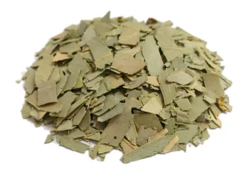 Eucalyptus (eucalyptus globulus labill.) - leaves 1st quality