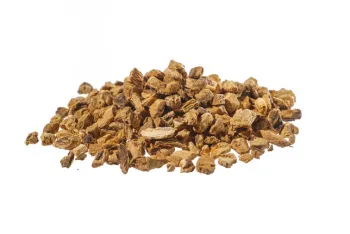 Gentiane (gentiana lutea l.) - racine tt