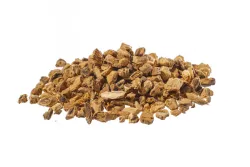 Gentiane (gentiana lutea l.) - racine tt