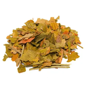 Ginkgo (ginkgo biloba l.) - feuilles tt