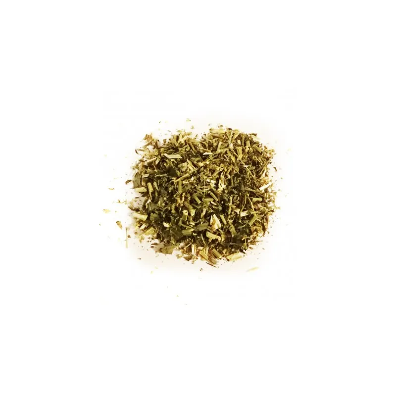 Mélilot (melilotus officinalis (l.) lam.) - top tt