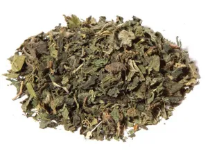 Ortie (urtica dioica l.) - feuilles tt