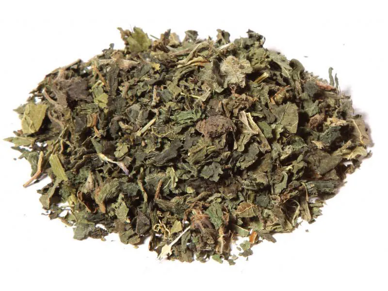 Ortie (urtica dioica l.) - feuilles tt