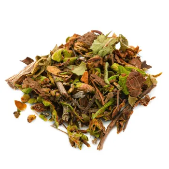 Stone split (ceterach officinarum dc.) - tops tt.