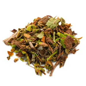 Faux caillou (ceterach officinarum dc.) - top tt