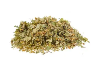 Tiglio (tilia platyphyllos scop.) - infiorescenza tt