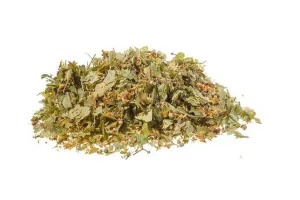 Miel de tilleul (tilia platyphyllos scop.) - inflorescence tt