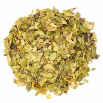 Bärentraube (arctostaphylos uva-ursi (l.) spreng.) - blätter tt