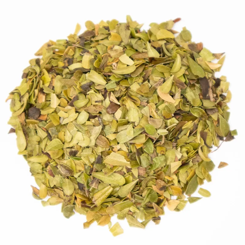 Raisin d'ours (arctostaphylos uva-ursi (l.) spreng.) - feuilles tt