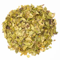 Raisin d'ours (arctostaphylos uva-ursi (l.) spreng.) - feuilles tt