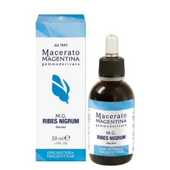 Grosella negra - Macerado 50 ml