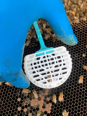 Mini cage « menna » pour bloc d'élevage - hiver et été