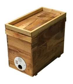 Ruche d.b. 6 en nid d'abeille bois paraffiné bon marché