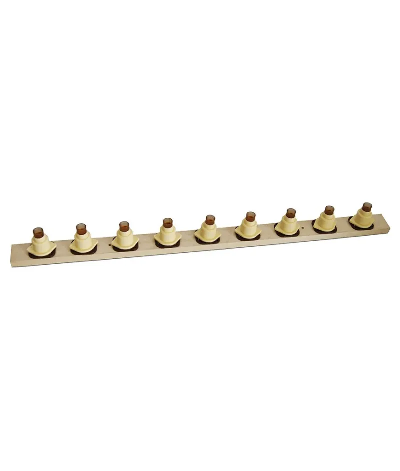 Batten with fixing blocks for queen breeding