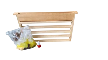 Kit per la produzione di api regine