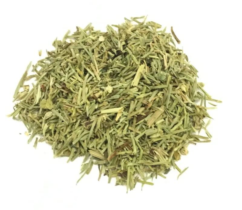 Schachtelhalm (Equisetum arvense) – oberirdischer Teil