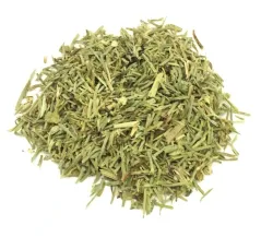 Horsetail (Equisetum arvense) -
 aerial part