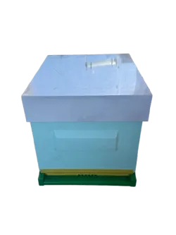 9-Rahmen-Jolly-Beute mit beweglichem Boden und Honigraum, aus hochdichtem Polystyrol