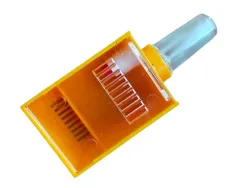 Cage for storing and maintaining the queen