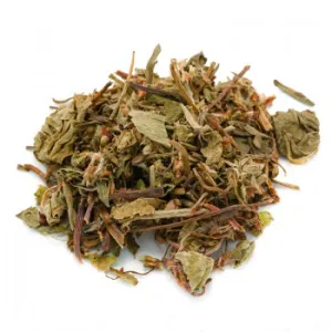 Centella asiatica (Centella asiatica L.) - sommità TT