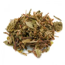 Centella asiatica (Centella asiatica L.) - sommità TT