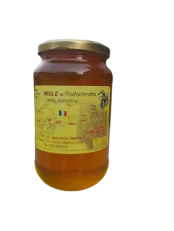 Miel de rododendro 750 g